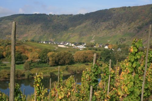 ÖkoWeinGut Schauf